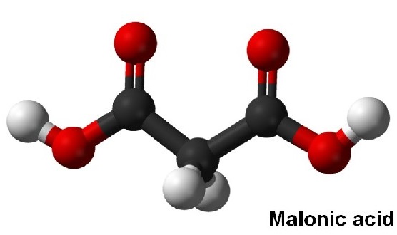 Malonic acid