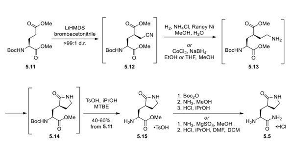 Synthetic Route to Aminolactam 5.5