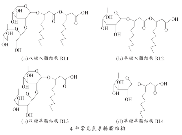 4種鼠李糖脂結(jié)構(gòu)