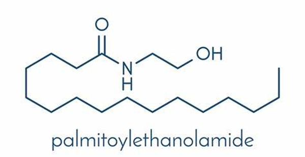 Palmitoylethanolamide