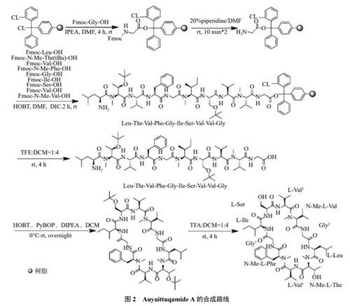 天然環(huán)肽auyuittuqamide A的合成.jpg