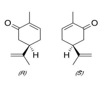 香芹酮的兩種異構