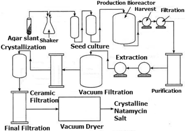 Process flow diagram for Natamycin production