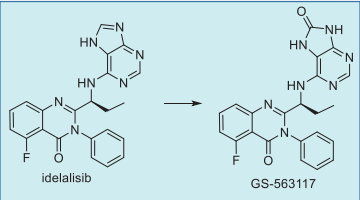 Figure 7. Metabolic pathway of idelalisib in humans.