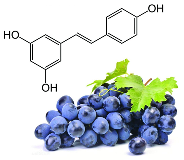 Resveratrol