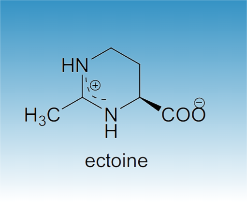 Fig. 1 Ectoine