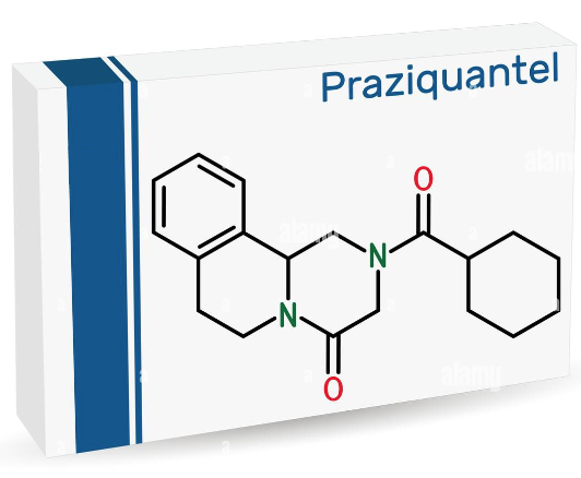 Praziquantel