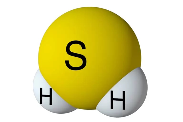 Hydrogen Sulfide