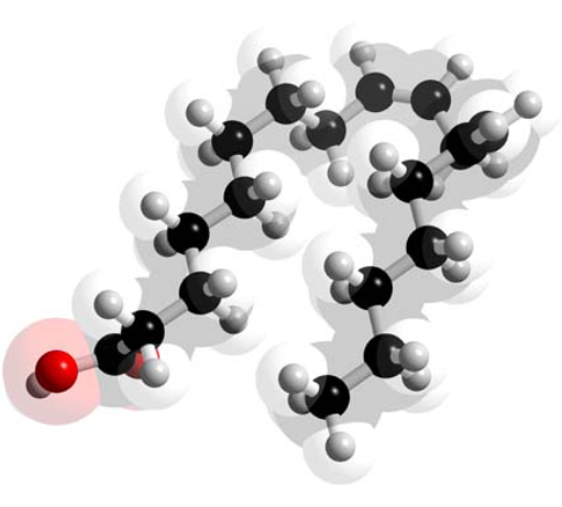 共軛亞油酸的副作用及制造方法