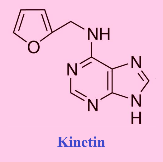 Kinetin