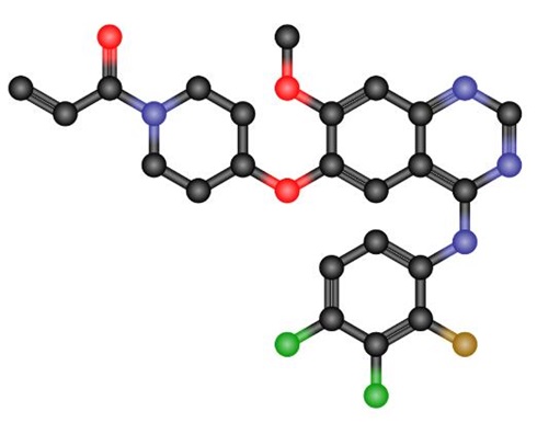 Poziotinib (HM781-36B)