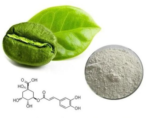 Chlorogenic acid