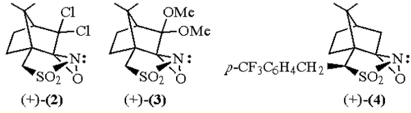 (1R)-(-)-(10-Camphorsulfonyl)oxaziridine