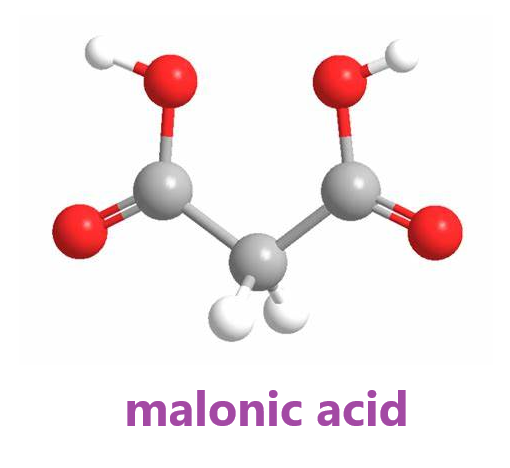 Malonic acid