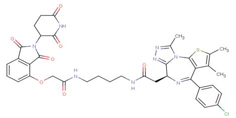 dBET1的生物活性