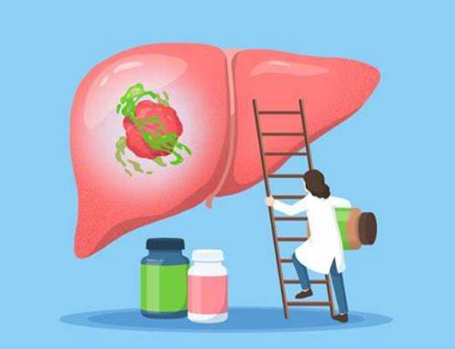 Bile acids impair liver cancer immunotherapy.png