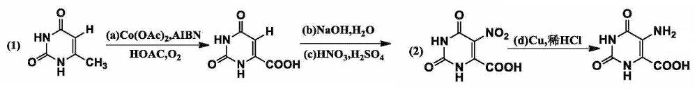 5-氨基乳清酸的合成路線