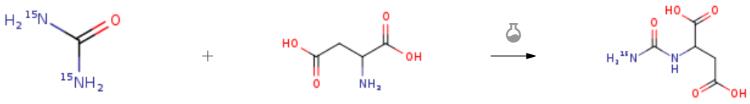 尿素(N15標(biāo)記)的合成應(yīng)用2.png