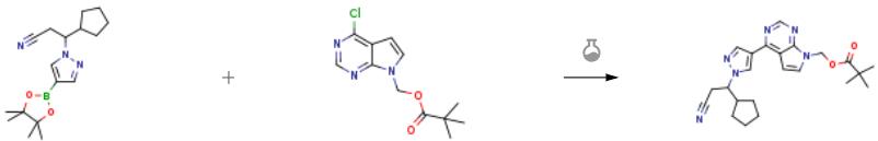 (4-氯-7H-吡咯并[2,3-D]嘧啶-7-基)甲基特戊酸酯的合成應用2.png