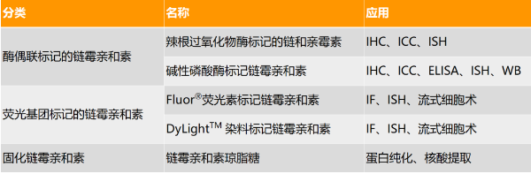 常見鏈霉親和素衍生物分類及其應(yīng)用 常見鏈霉親和素衍生物分類及其應(yīng)用
