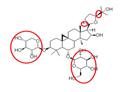 Astragaloside IV