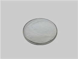 6-Aminopenicillanic acid