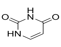 Uracil