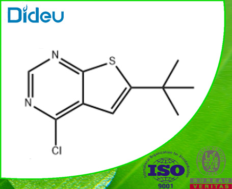 6-TERT-BUTYL-4-CHLOROTHIENO[2,3-D]PYRIMIDINE