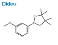 3-Methoxypyridine-5-boronic acid pinacol ester