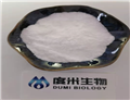 Camphor