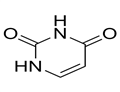 Uracil