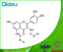 Quercetin dihydrate USP/EP/BP