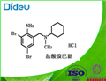 Bromhexime HCL USP/EP/BP