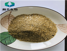 Root divinorums extract powder