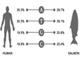 Polydeoxyribonucleotides（PDRN）