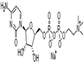 Citicoline Sodium (CDPC)