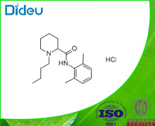 Bupivacaine hydrochloride USP/EP/BP