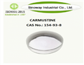 154-93-8 Carmustine