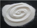 Procaine Base