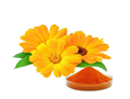 Marigold Flower Extract