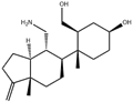 Semaglutide