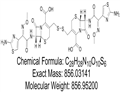 Ceftiofur Dimer 2