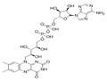 Flavin adenin dinucleotide