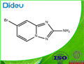 7-bromo-[1,2,4]triazolo[1,5-a]pyridin-2-amine 