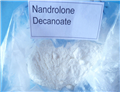 Nandrolone Decanoate