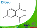 6-METHYL-2,3-PYRIDINEDICARBOXYLIC ACID 