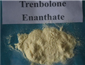 99.78% Trenbolone Acetate Raw Powder Tren Ace 