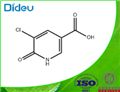 5-Chloro-6-hydroxy-3-pyridinecarboxylic acid 