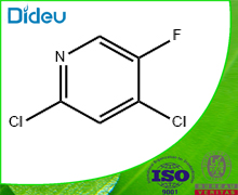 2,4-Dichloro-5-fluoropyridine