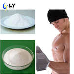 Clomiphene Citrate(Clomid)